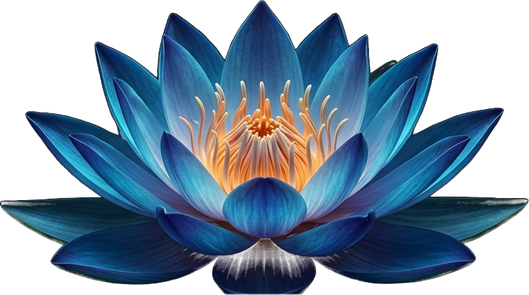 Sacred Blue Lotus in full bloom